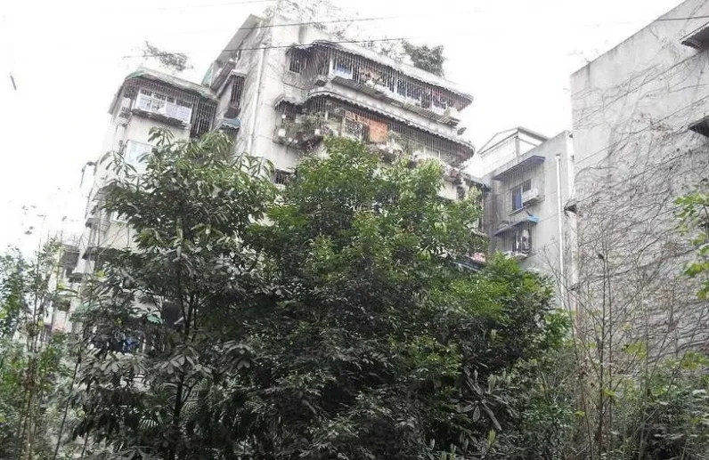 大石南路198号院3室1厅1卫南北朝向2000.00元/月出租