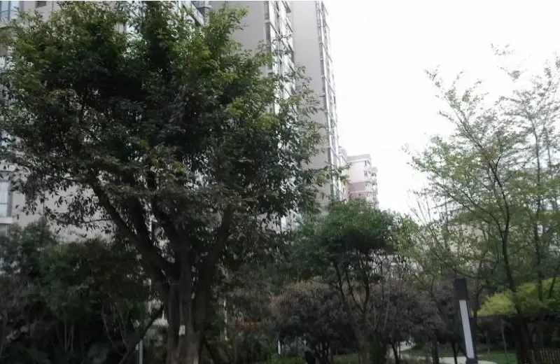 戎居苑3室2厅2卫东西朝向3600.00元/月出租