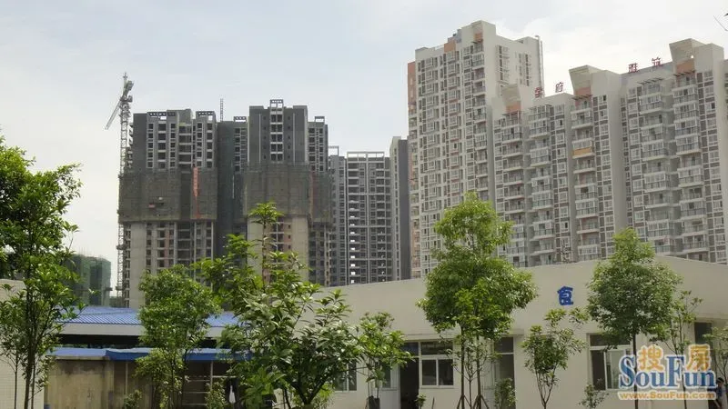 学府雅筑1室1卫东南朝向800.00元/月出租