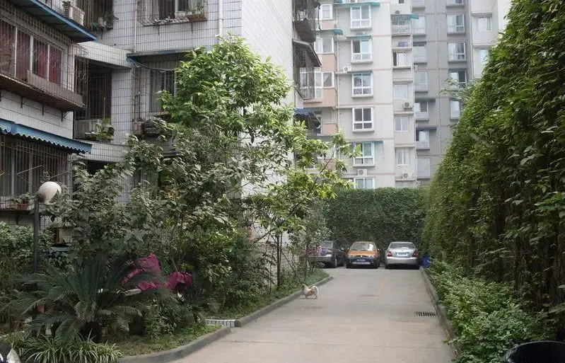 新鸿达电梯公寓1室1厅1卫西南朝向4500.00元/月出租