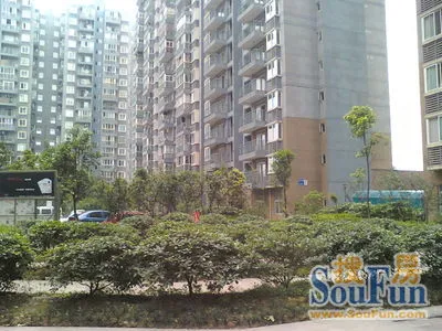成都市锦江区锦华路三段306号锦馨家园是否有产权?