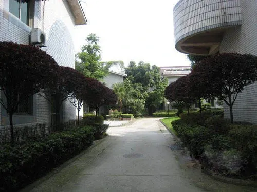 瑞丰苑(双流)1室1厅1卫东朝向1500.00元/月出租