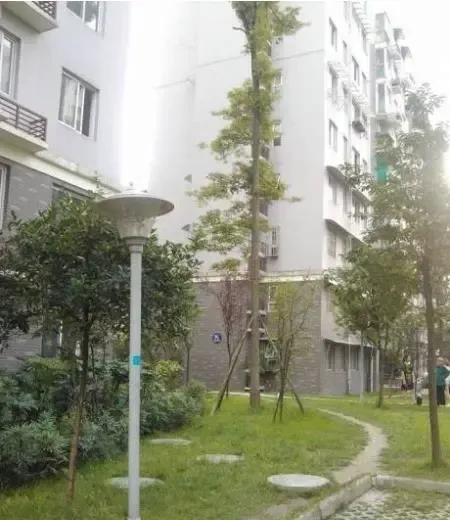 沪都家园2室1厅1卫南朝向1400.00元/月出租