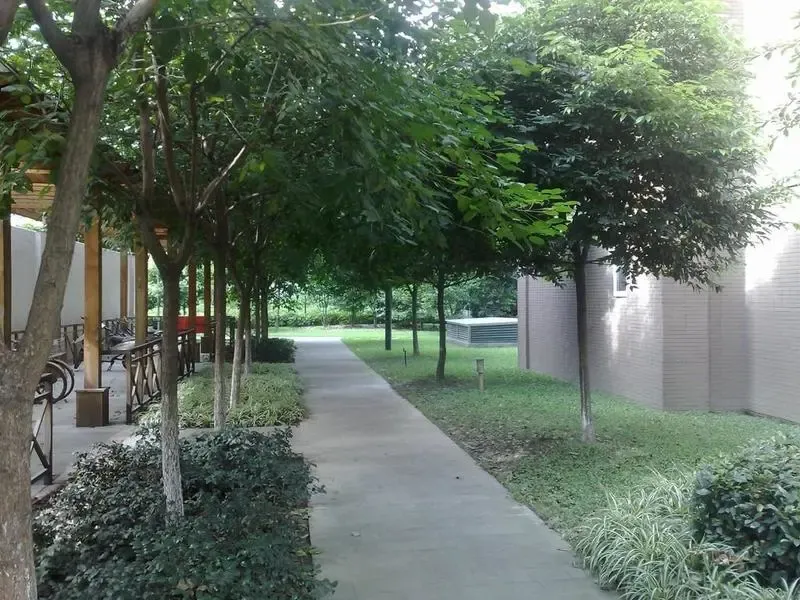 齐力光华岁月3室2厅2卫南朝向3000.00元/月出租