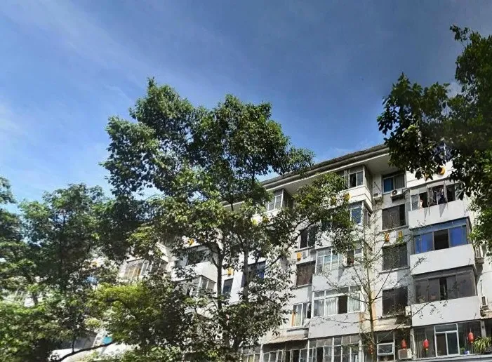 旅游局宿舍2室1厅1卫东西南北朝向2800.00元/月出租