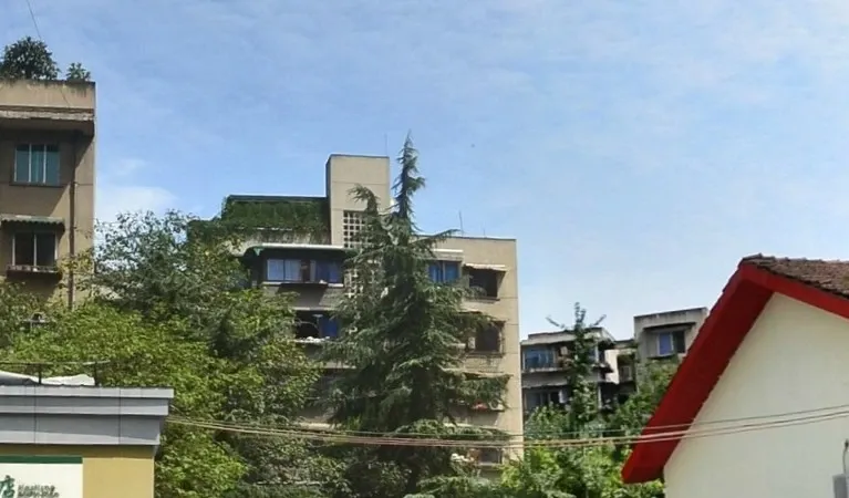 旅游局宿舍2室1厅1卫南朝向2500.00元/月出租