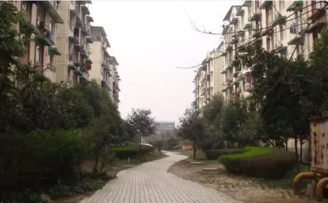 望平滨河路18号院3室2厅2卫东南朝向3400.00元/月出租