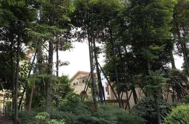 整租·蓝泊湾5室3厅 跃层