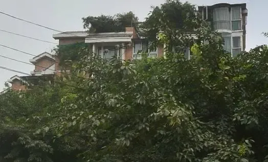 幸福丽景3室1厅1卫北朝向2000.00元/月出租