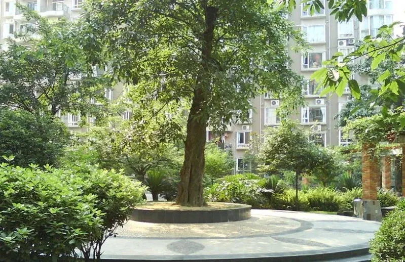 整租·名人苑1室1厅