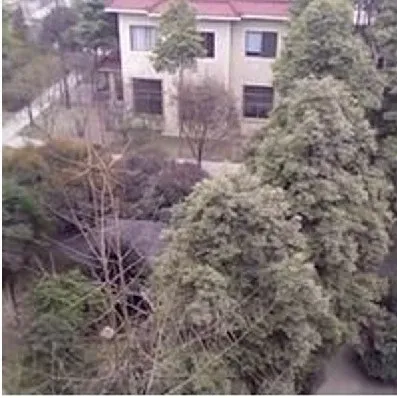 兴瑞花园3室1厅1卫南朝向1300.00元/月出租