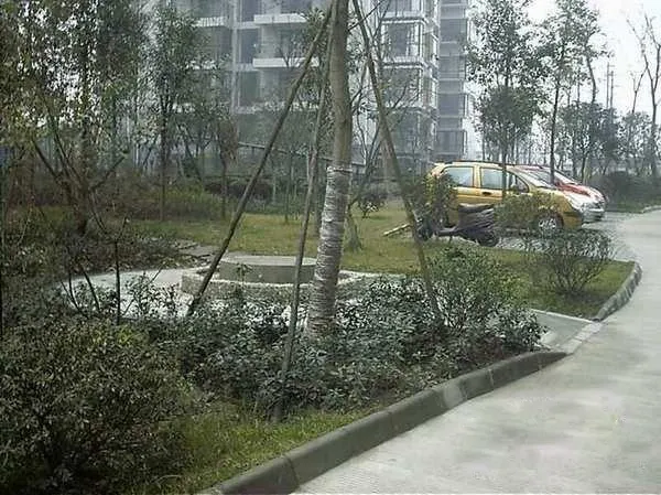 桂香居2室1厅2卫东南朝向2700.00元/月出租