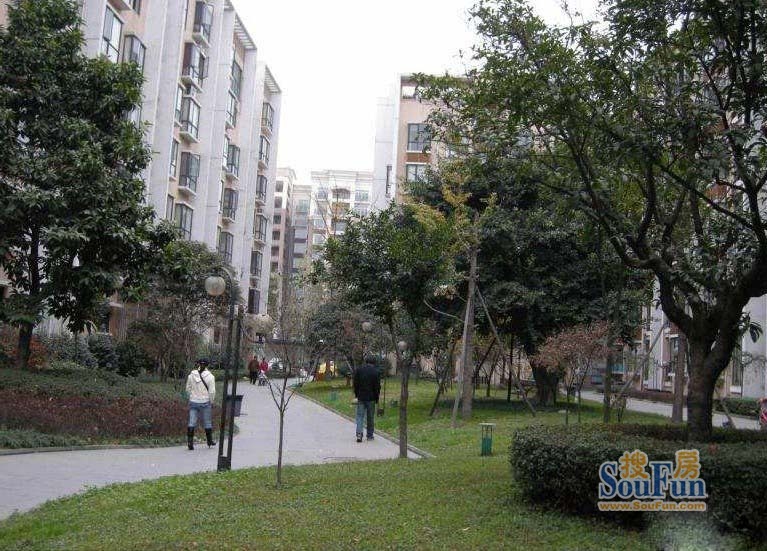 城南驿站3室2厅1卫南朝向3000.00元/月出租