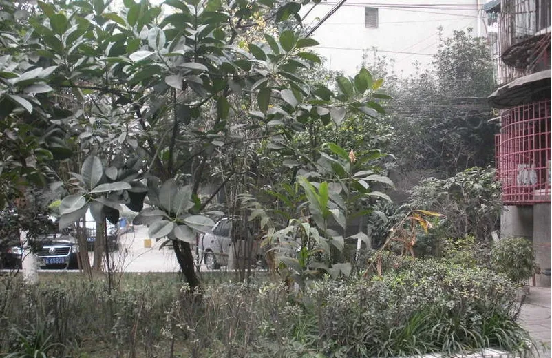 颐园4室2厅2卫东南朝向3380.00元/月出租