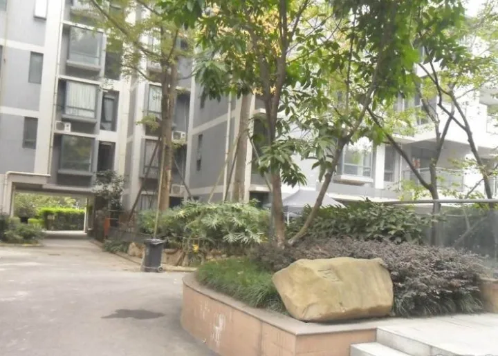 双楠映象1室1厅1卫东南朝向2300.00元/月出租