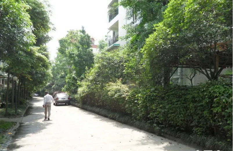 欣盛家园3室1厅1卫南朝向1600.00元/月出租