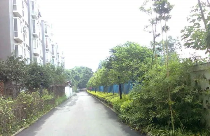 桃园柳岸4室2厅2卫东南朝向1160.00元/月出租