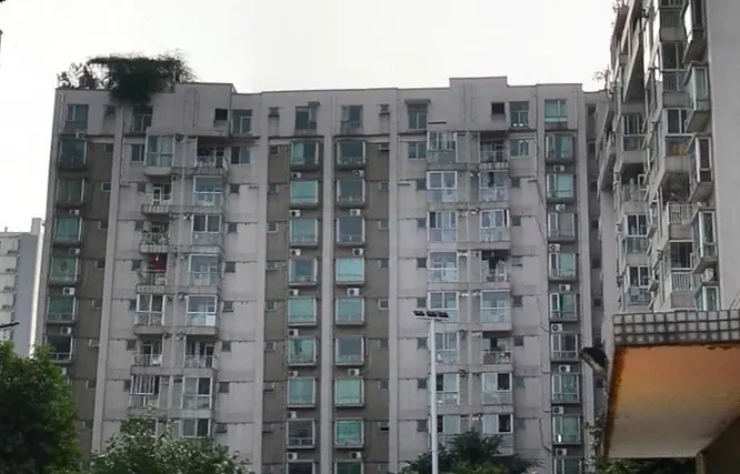 青云阁3室1厅2卫南朝向3000.00元/月出租