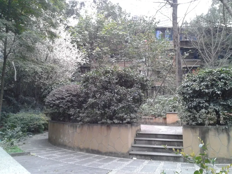 东方新城一期2室1厅1卫东南朝向2300.00元/月出租