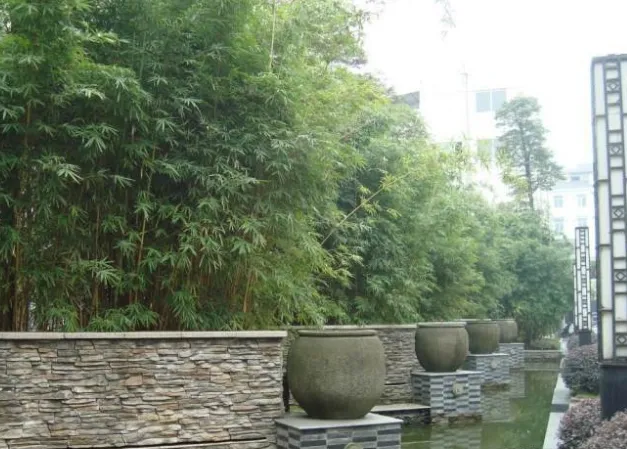 德坤竹韵坊2室2厅1卫东南朝向1200.00元/月出租