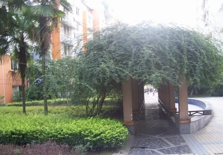 四季香榭2室1厅1卫南朝向2500.00元/月出租