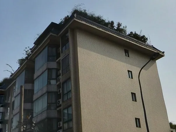 草堂居4室2厅2卫南朝向3900.00元/月出租