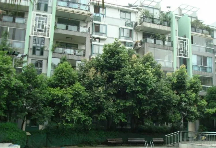 整租·金沙园三期 3室2厅 南