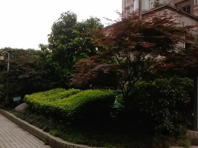 锦宏丽景花园1室1卫东南朝向1900.00元/月出租