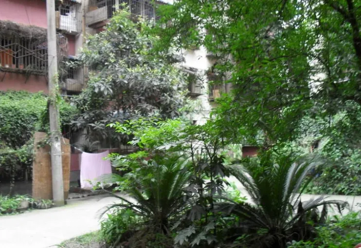 石人西路28号院2室1厅1卫南朝向1700.00元/月出租