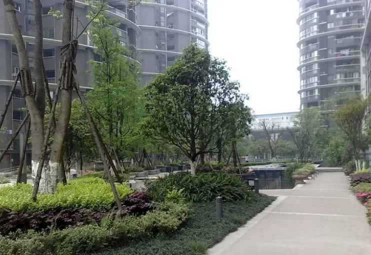 布鲁汀3室2厅2卫南朝向3000.00元/月出租