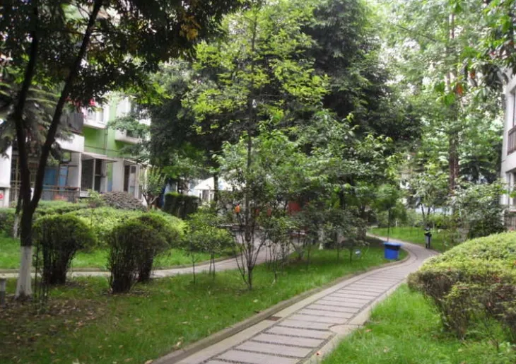 阳光地带1室1厅1卫东南朝向1800.00元/月出租