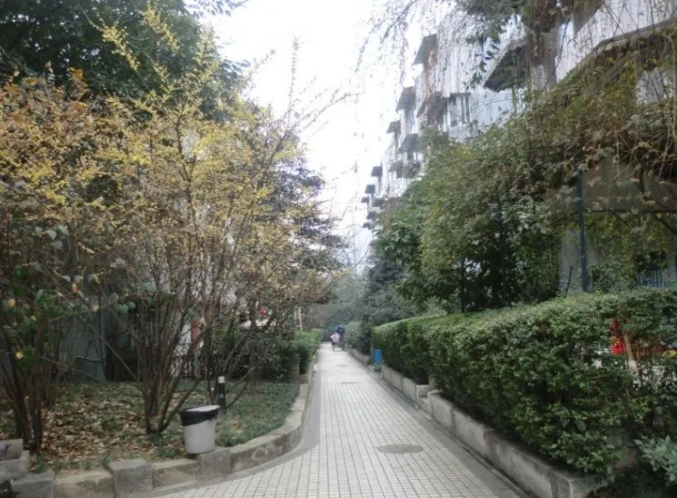百花芳邻5室2厅2卫东南朝向5200.00元/月出租