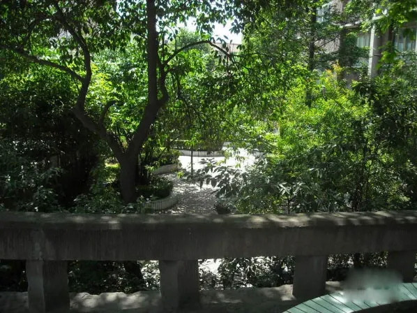 石油局宿舍3室1厅1卫东南朝向2500.00元/月出租