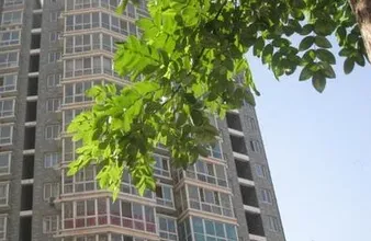 华庭公寓3室1厅1卫南朝向2900.00元/月出租