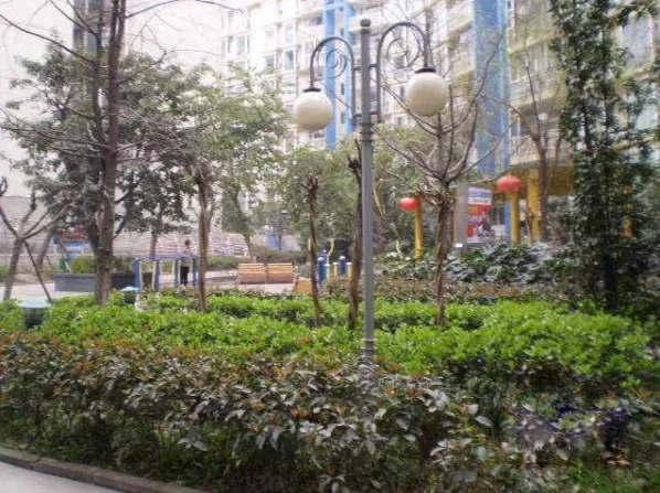 金沙春3室2厅2卫北朝向3500.00元/月出租