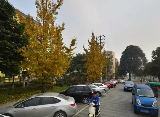 鑫源锦城花园3室2厅2卫东南朝向1450.00元/月出租