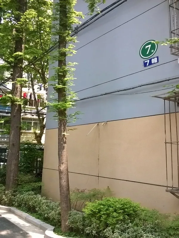 二号新村3室1厅1卫南北朝向3500.00元/月出租