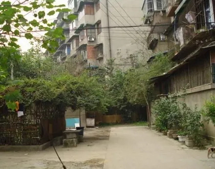 双林路44号院2室1厅1卫南朝向2100.00元/月出租