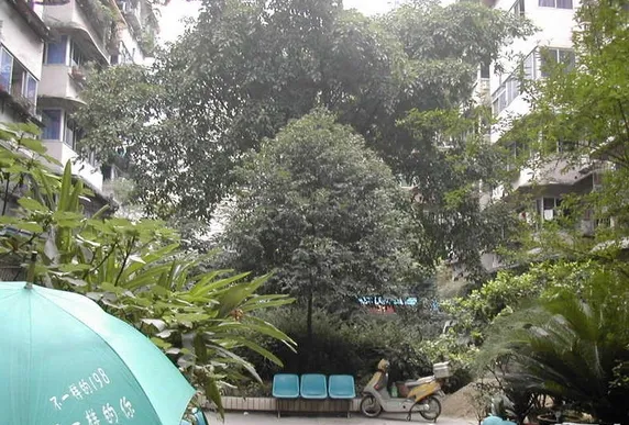 树蓓街1号院3室1厅1卫南北朝向2200.00元/月出租