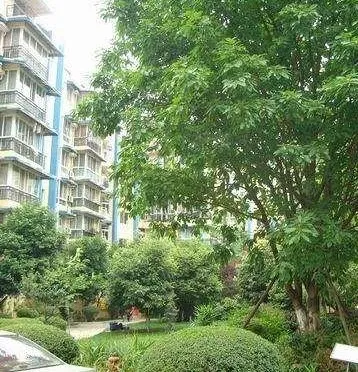 吉祥花园3室2厅2卫东南朝向1400.00元/月出租