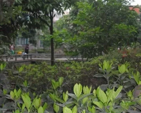 双兴名邸四季春天2室1厅2卫南朝向2000.00元/月出租