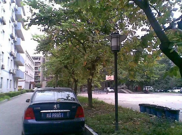 四川省农业科学院宿舍3室1厅1卫西南朝向2400.00元/月出租