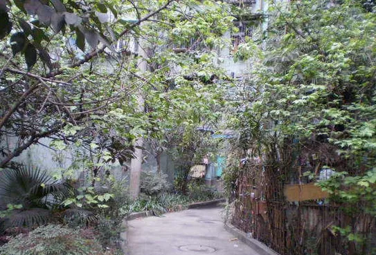 清溪南街20号院1室1厅1卫东北朝向2100.00元/月出租