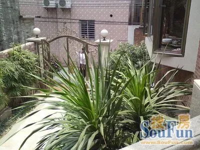 腾冲自建房4室3厅3卫东南朝向2980.00元/月出租