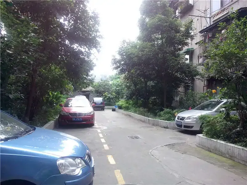 成科路2号院2室1厅1卫南北朝向3000.00元/月出租