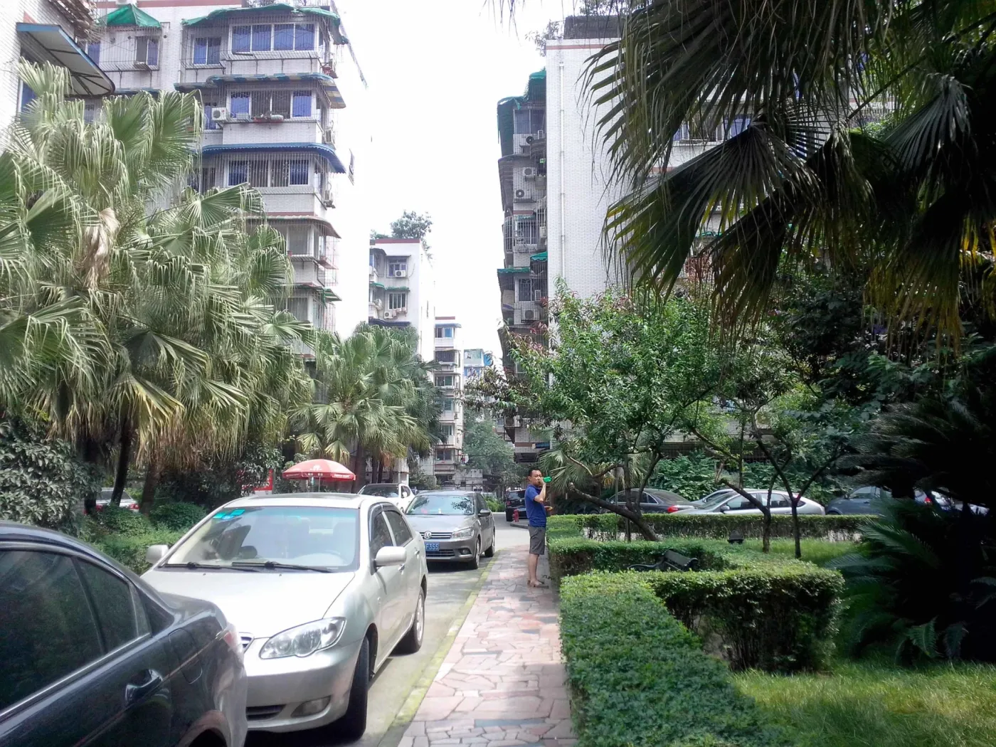 玉林嘉苑2室1厅1卫东南朝向2300.00元/月出租