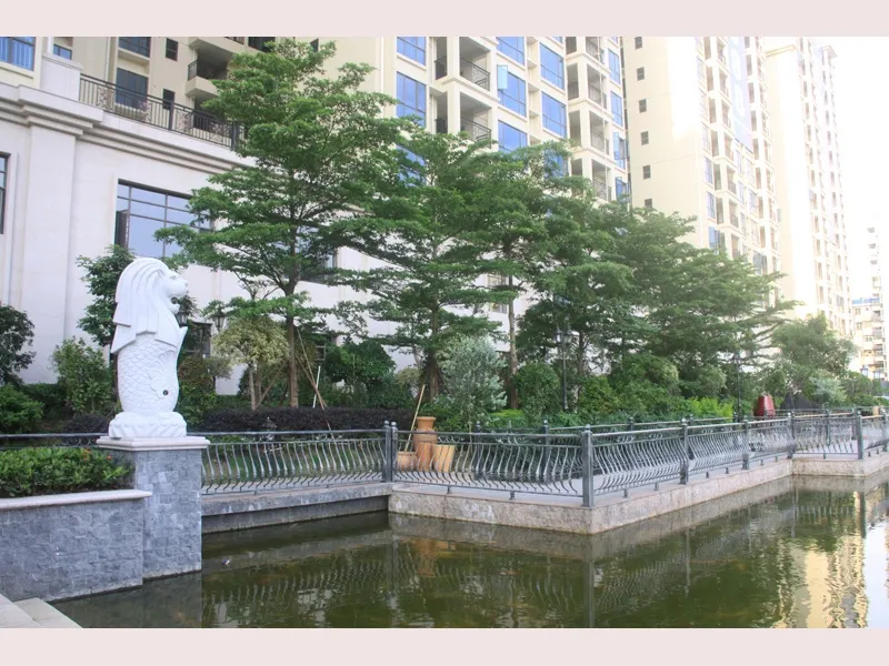 中金城投·九龙湾3室1厅1卫南北朝向1500.00元/月出租