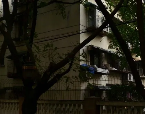 棕南丁区2室1厅1卫南朝向2000.00元/月出租