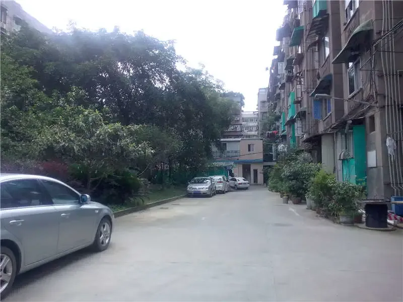 龙江路26号院2室1厅1卫东西南朝向1800.00元/月出租