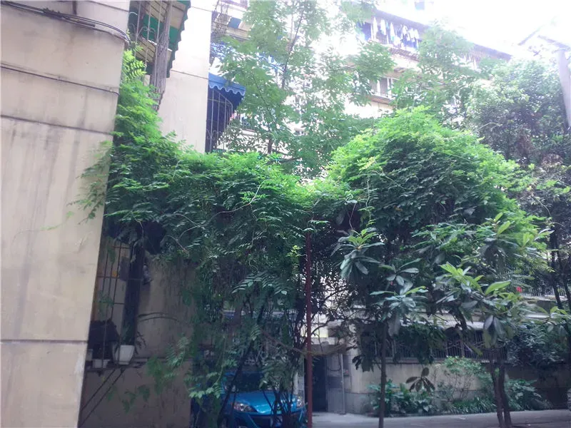 菊乐路55号2室1厅1卫东南朝向2000.00元/月出租